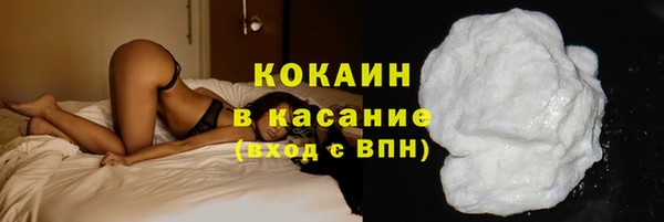 сатива Белокуриха