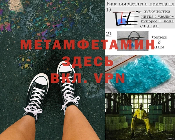 сатива Белокуриха