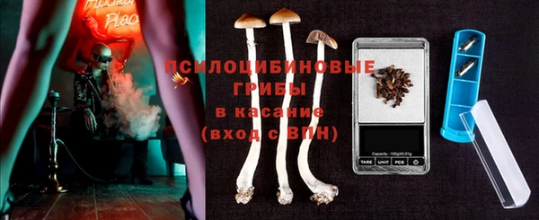 сатива Белокуриха