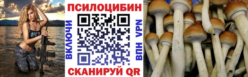 Псилоцибиновые грибы мухоморы  Бородино 